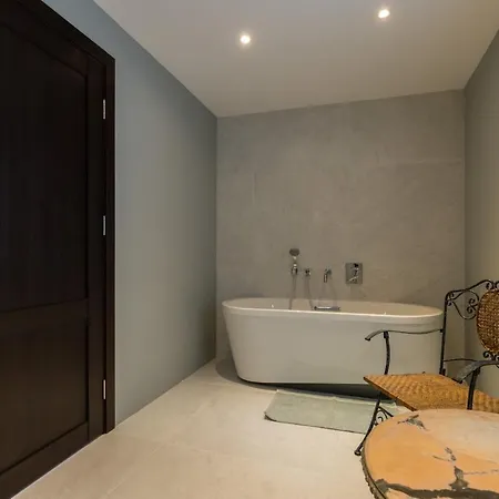 Sur Les Hauteurs De Nice, Proche Centre 别墅 尼斯